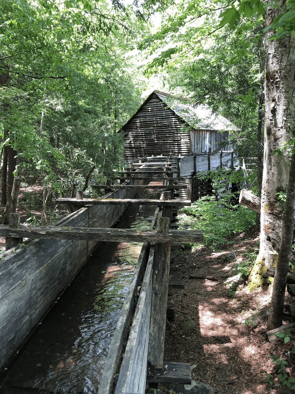 Bill Monroe Bean Blossom Bluegrass Festival 2026